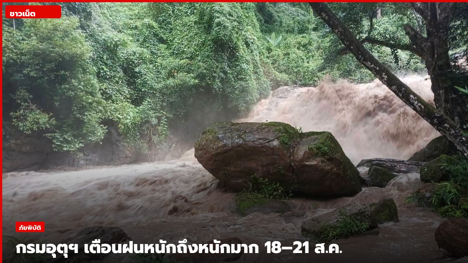 น้ำป่าไหลหลากในป่าหลังฝนตกหนัก