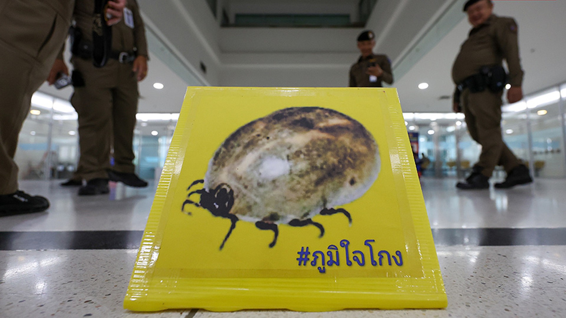 กล่องกิจกรรมเชิงสัญลักษณ์ของกลุ่ม iLaw หน้า กกต.
