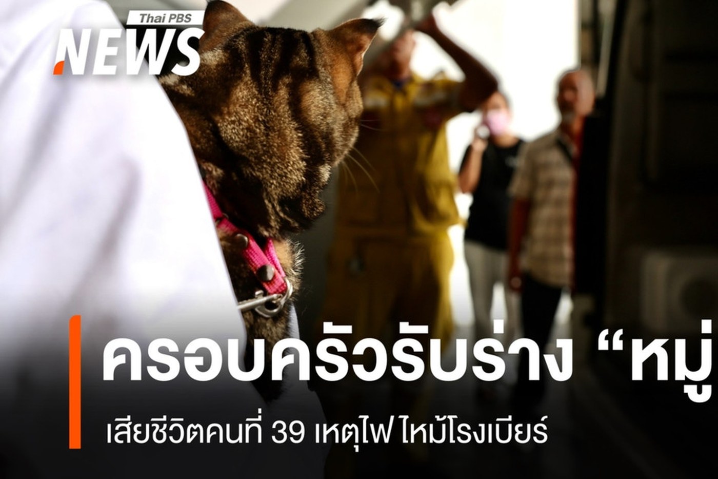 ครอบครัวนำแมวที่หมู่แดนรักมาร่วมรับร่าง
