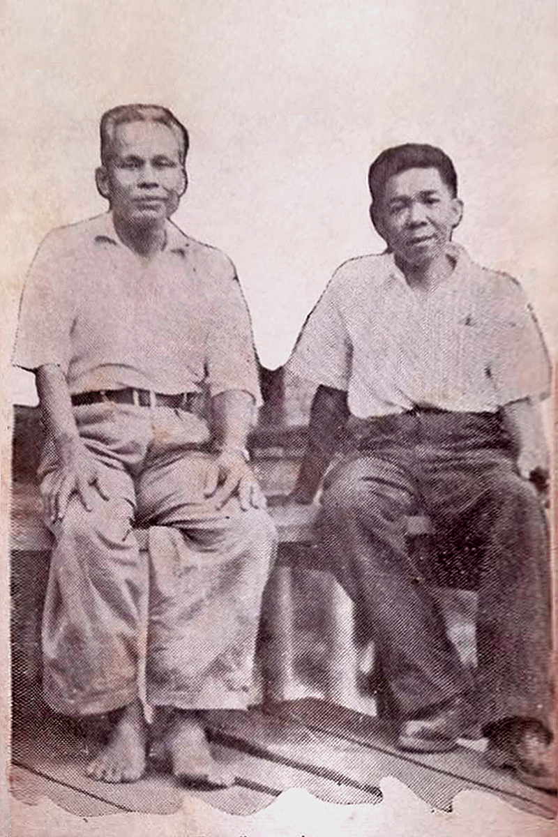 เสือฝ้าย