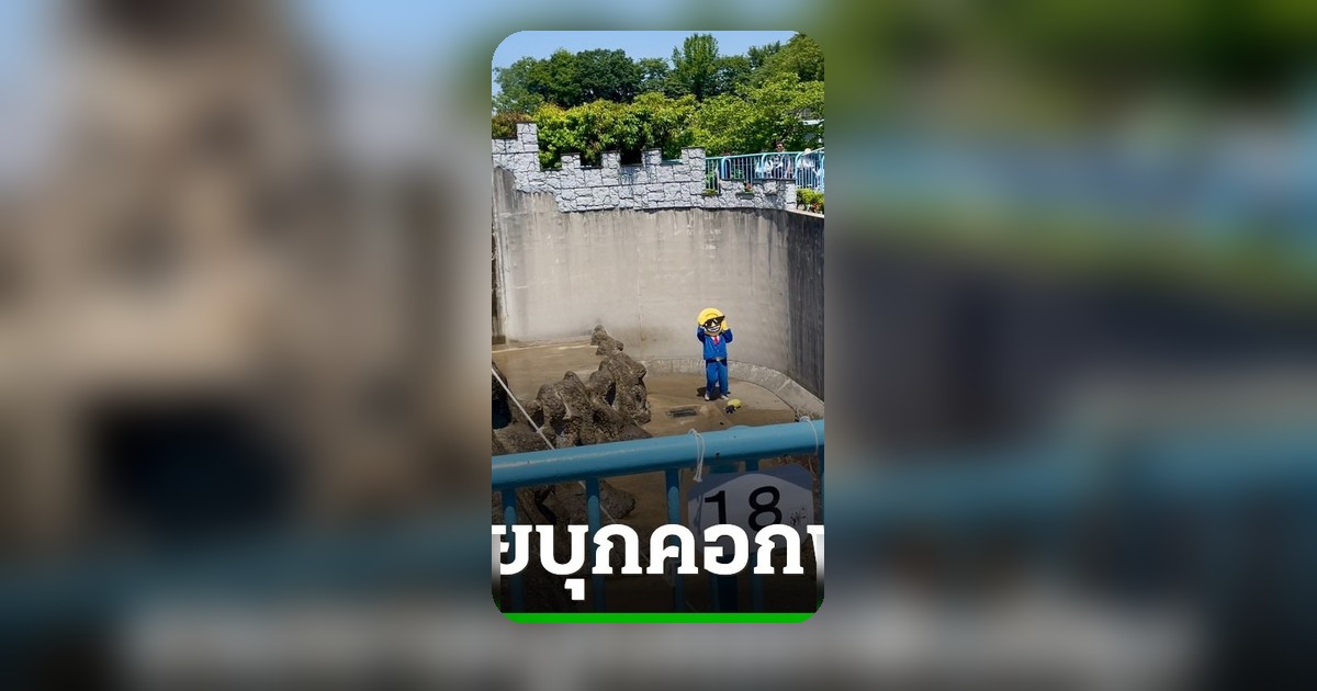 ญี่ปุ่นจับกุมชายอเมริกัน 2 ราย บุกคอกลิงพันช์คุงหวังทำคอนเทนต์คริปโต