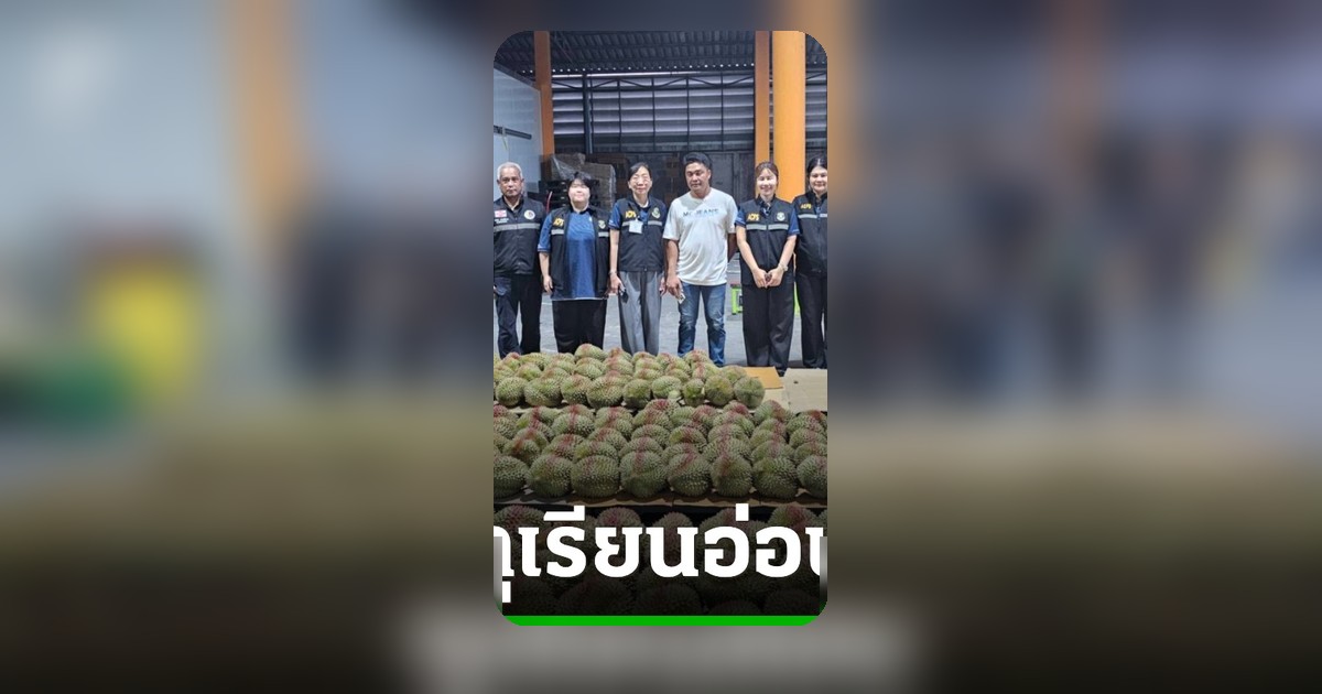 ทุเรียนอ่อนกว่า 500 ลูก ถูกสั่งทำลายที่ล้งจันทบุรี ก่อนส่งออก