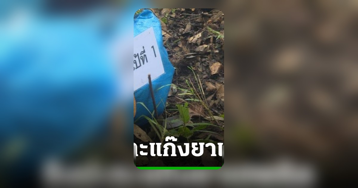 ปะทะเดือด! วิสามัญ 3 ศพ แก๊งยาบ้า ยึดของกลางกว่า 3 แสนเม็ดที่เชียงราย