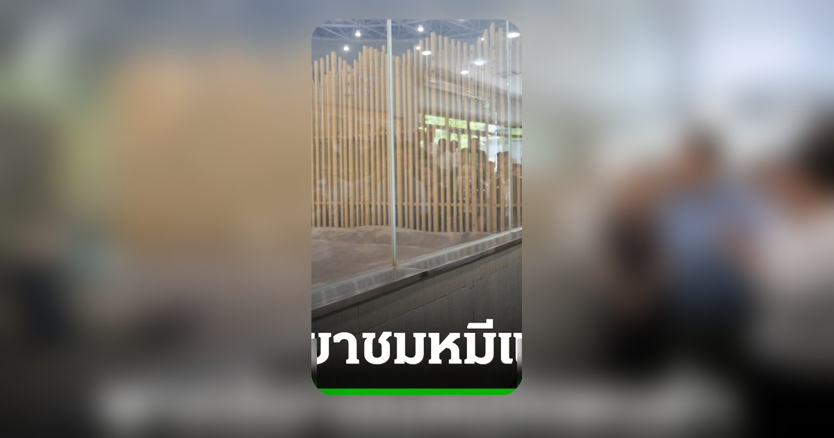 อนุทิน-ภริยา ร่วมคณะเยือนจีน ชมศูนย์หมีแพนด้า เตรียมพบผู้นำจีนพรุ่งนี้