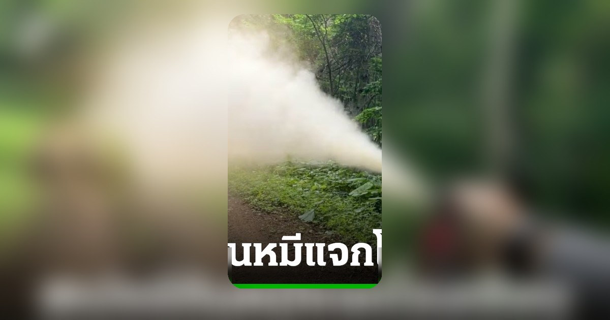 ญี่ปุ่นแจกสเปรย์กันหมี 700 ชุด โรงเรียนชานกรุงโตเกียว รับมือหมีป่าบุก