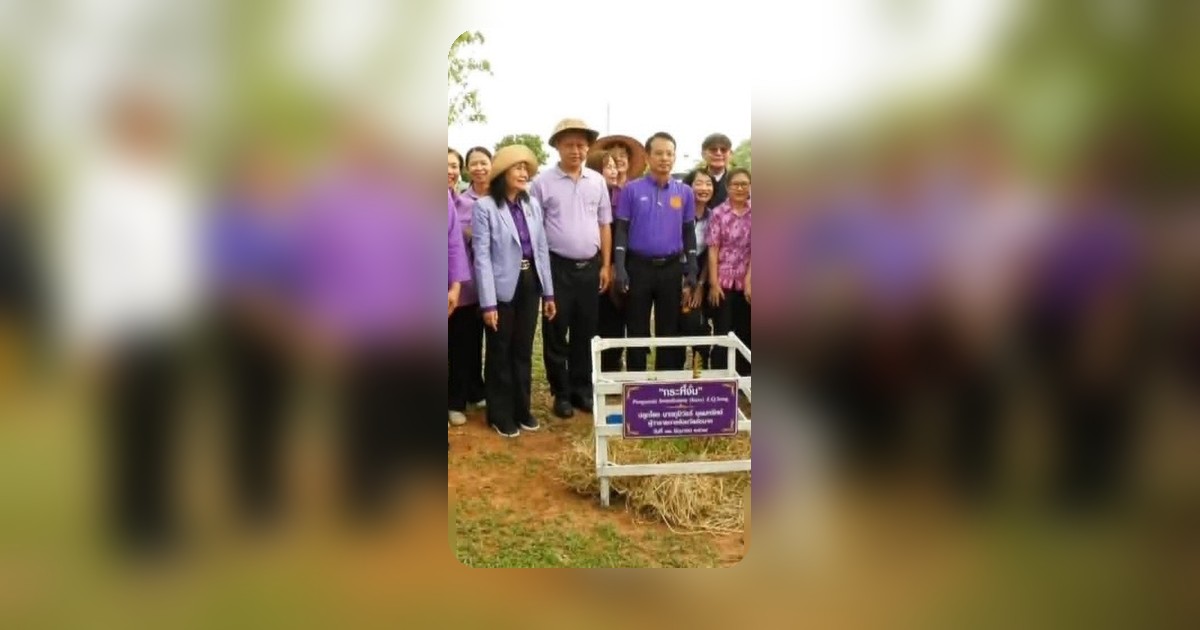 ผู้ว่าราชการจังหวัดชัยนาท นำปลูกต้นไม้เฉลิมพระเกียรติพระราชินี ดอกสีม่วง