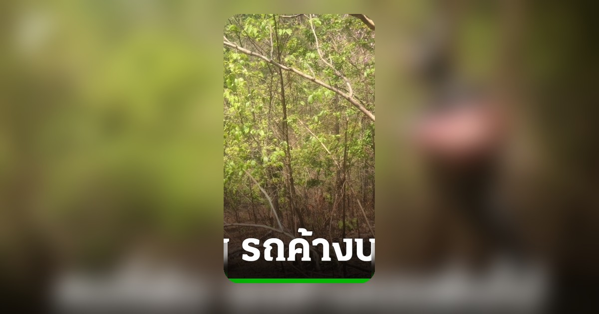 ช็อก! มอเตอร์ไซค์ซิ่งแหกโค้งเหินขึ้นไปติดต้นไม้สูง 2 เมตร คนขี่กระเด็นดับ