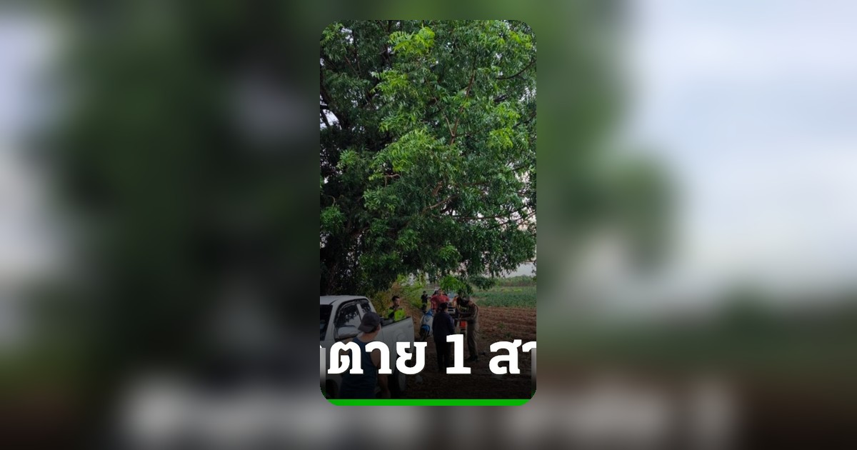 ฟ้าผ่าไร่มัน อุดรฯ คนงานหลบฝนใต้ต้นไม้ใหญ่ตาย 1 บาดเจ็บ 2