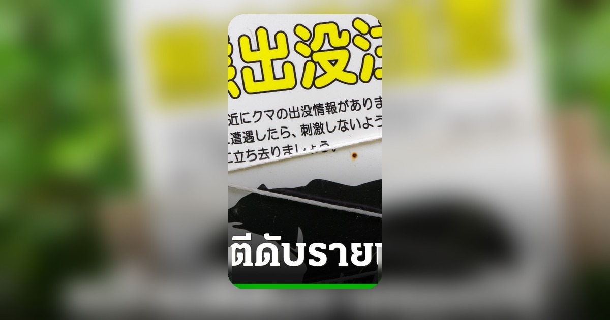 ญี่ปุ่นผวาหมีทำร้ายคนดับรายแรกของปี 2026 ตำรวจสอบเพิ่มอีก 2 ศพต้องสงสัย