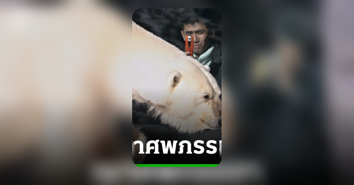 พนักงานสวนสัตว์ญี่ปุ่นนำศพภรรยาเผาในเตาสัตว์ ตำรวจอยู่ระหว่างตรวจสอบ