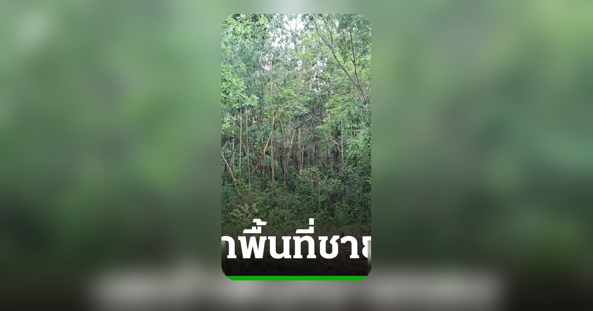 อำเภอกาบเชิงประกาศงดเข้าพื้นที่ชายแดน หลังคนไทยหาของป่าถูกทหารกัมพูชาจับกุม