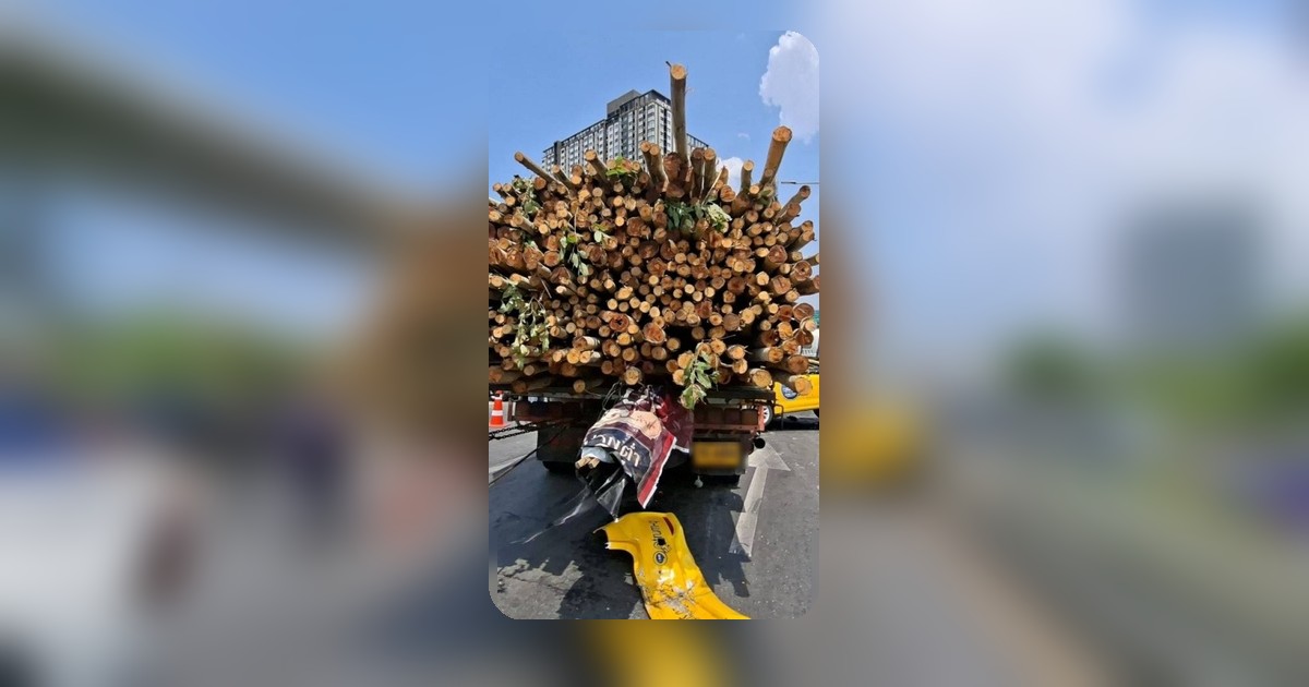 สิบล้อบรรทุกไม้ยูคาอ้างเบรกแตกชน 7 คันรวด มีผู้เสียชีวิต