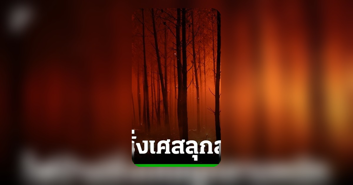ไฟป่าฝรั่งเศสลุกลามหนัก อพยพกว่าหมื่นชีวิตหนีตาย