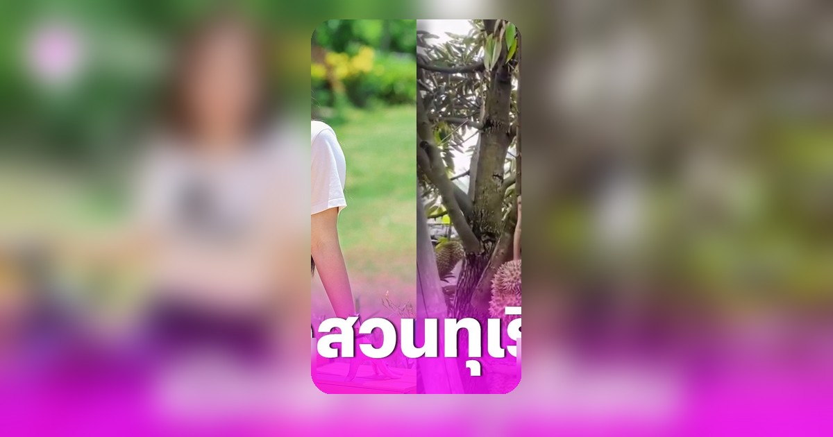ต่าย อรทัย โชว์สวนทุเรียนอุบลฯ ขายปีแรก ลูกดกเต็มต้นมีความสุข