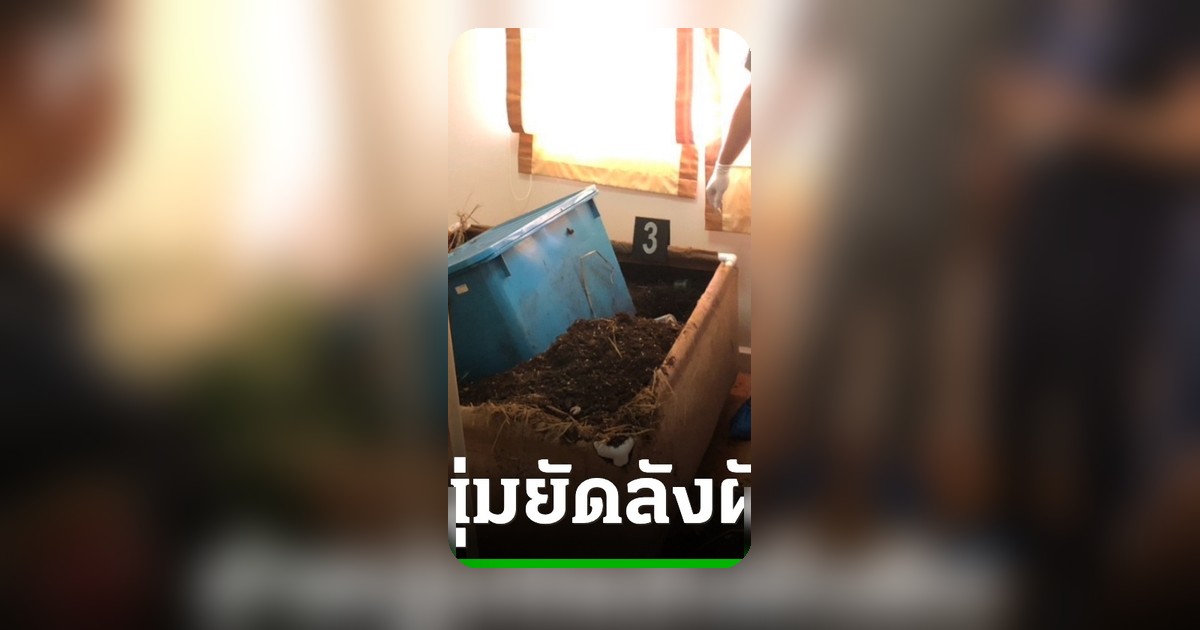ช็อกพบศพชายถูกฆ่ายัดลังฝังดินปลูกกัญชา ภายในบ้านย่านดอนเมือง