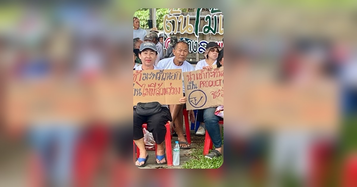 ชาวสวนมะพร้าวประจวบฯ รวมตัวทวงถาม 3 หน่วยงาน ปมจัดสรรโควตานำเข้าผลิตภัณฑ์มะพร้าว
