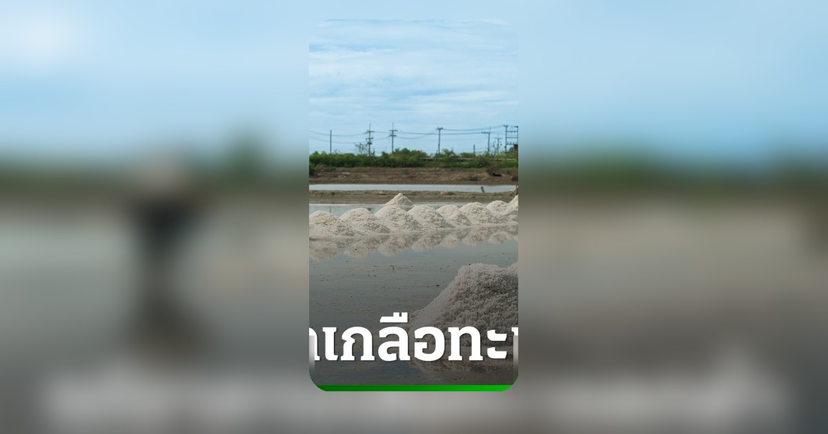 ชาวนาเกลือวิกฤต! กระทรวงเกษตรฯ เร่งหาทางออก ผลักดันแปรรูปเพิ่มมูลค่า