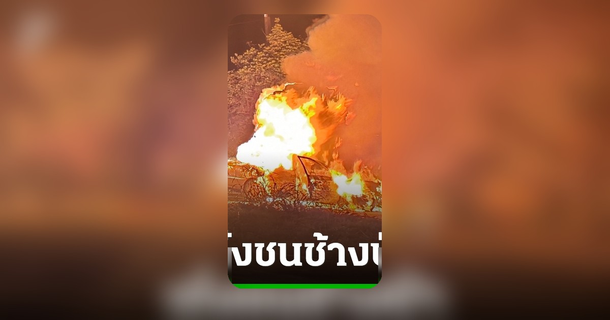 โศกนาฏกรรมทางหลวง 323 เก๋งพุ่งชนช้างป่า ไฟลุกท่วมคลอกคุณตาวัย 70 ดับ