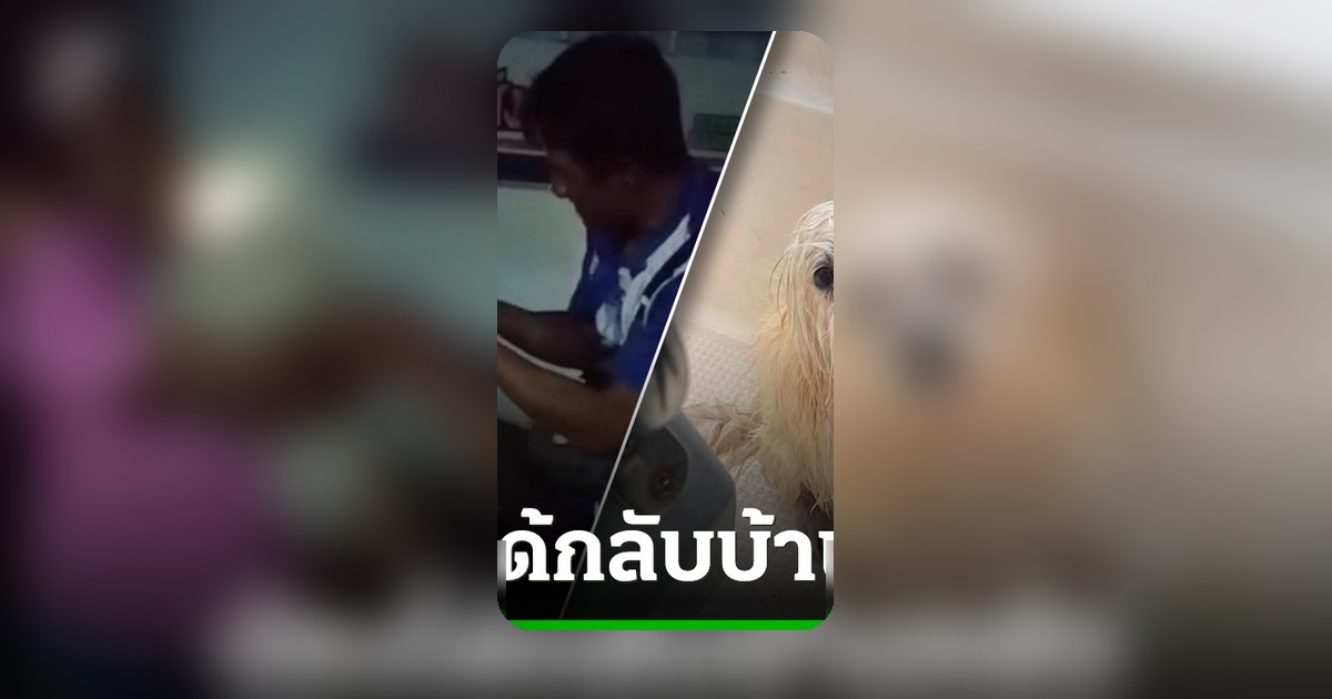 สี่ขาปลอดภัย! สุนัขลอยคอกลางทะเลเกาะสีชัง กลับสู่อ้อมอกเจ้าของแล้ว