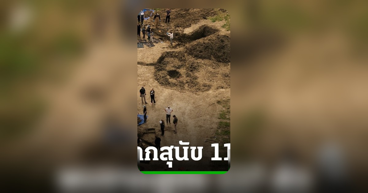 สลด! พบซากสุนัข 117 ตัว ในศูนย์ช่วยเหลือสัตว์ 'ไม่ฆ่า' ที่แคลิฟอร์เนีย