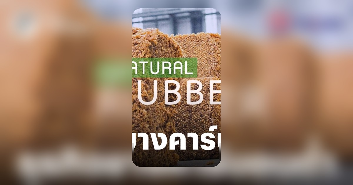 TEGH ปูทางผลิตยางแท่งคาร์บอนต่ำรายแรกของไทย หนุนผู้ประกอบการสู่ความยั่งยืน