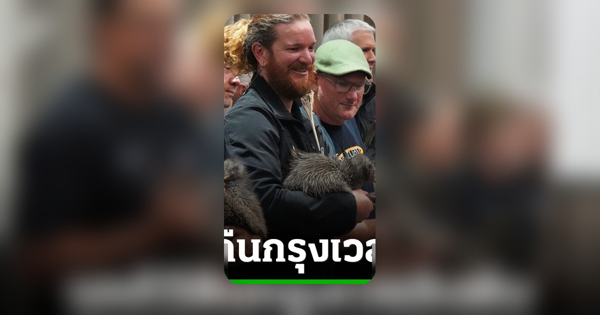 อาสาสมัครพา 'นกกีวี' คืนถิ่นเมืองหลวงนิวซีแลนด์ หลังสูญพันธุ์ไปนานกว่า 100 ปี