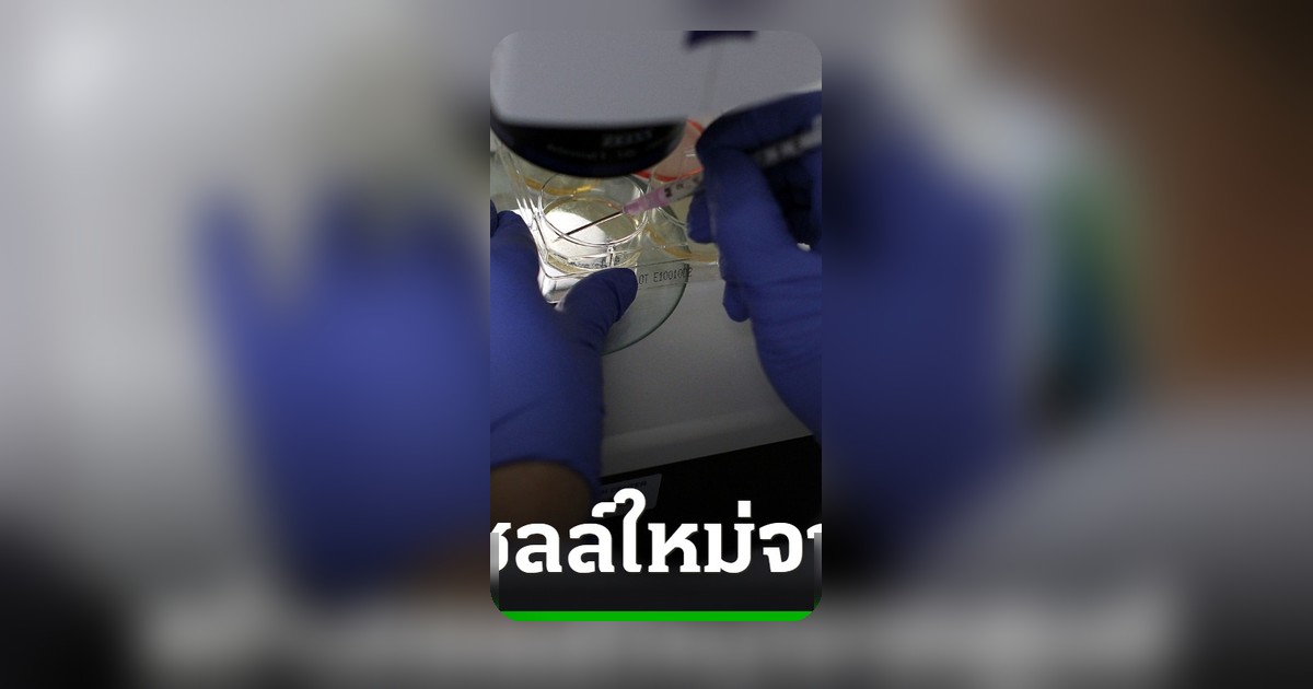 นักวิทยาศาสตร์สหรัฐฯ สร้าง 'เซลล์ใหม่' จากศูนย์สำเร็จ ครั้งแรกในประวัติศาสตร์