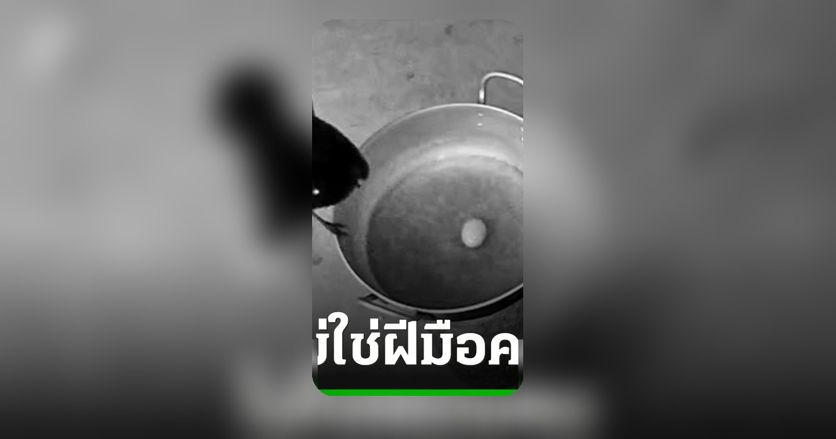 ครูหนุ่มไข่ต้มหาย ติดกล้องวงจรปิดจับได้居然是นกกางเขน