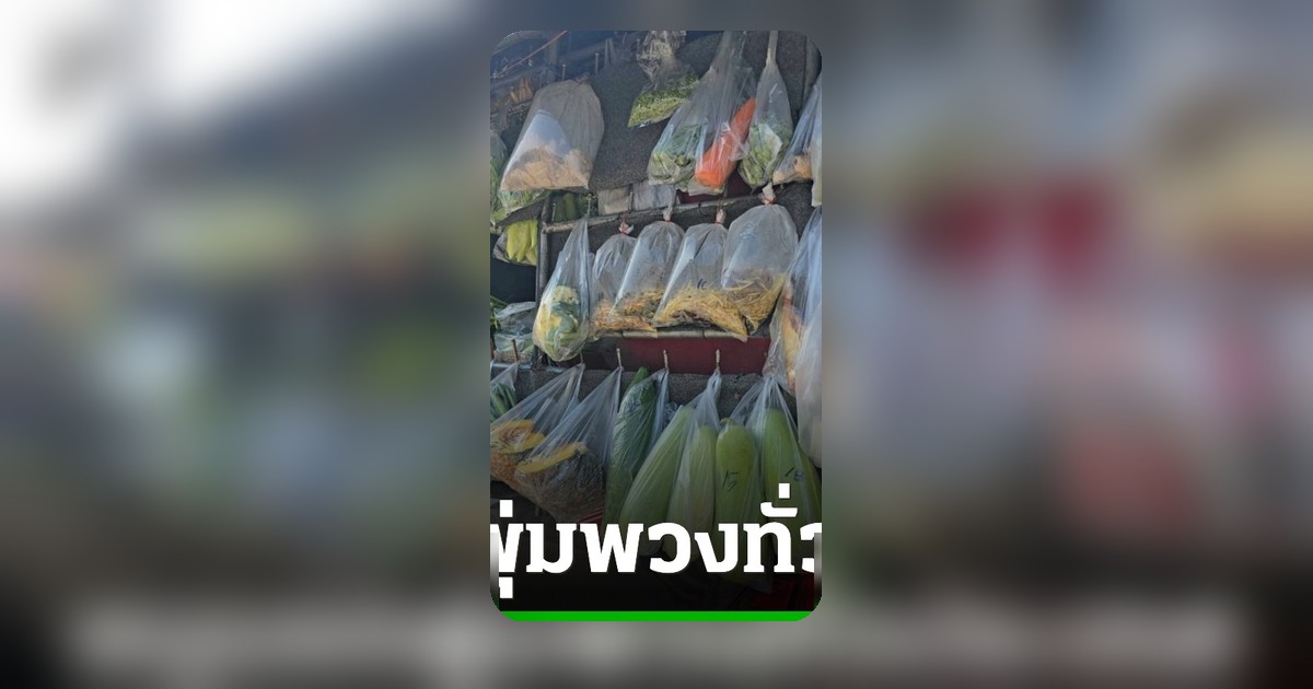 รัฐบาลชวนรถพุ่มพวงร่วมโครงการไทยช่วยไทย ลดต้นทุนน้ำมัน สมัครด่วน 1-7 พ.ค.