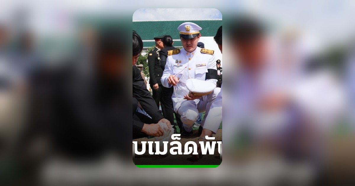 นายอนุทิน ร่วมเก็บเมล็ดพันธุ์ข้าวพระราชทาน เตรียมเพาะปลูกเอง ย้ำมาตรการดูแลภัยแล้ง
